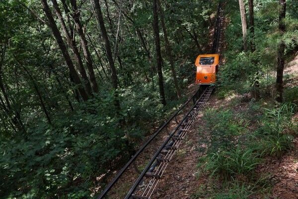 온라인 커뮤니티
