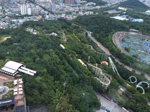 온라인 커뮤니티