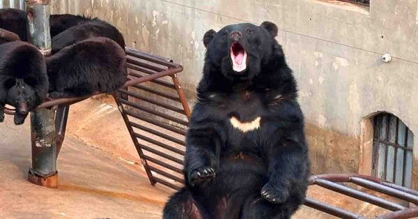 온라인 커뮤니티