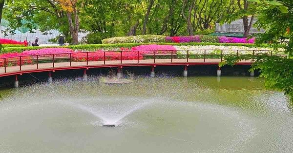 온라인 커뮤니티