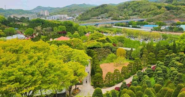 온라인 커뮤니티