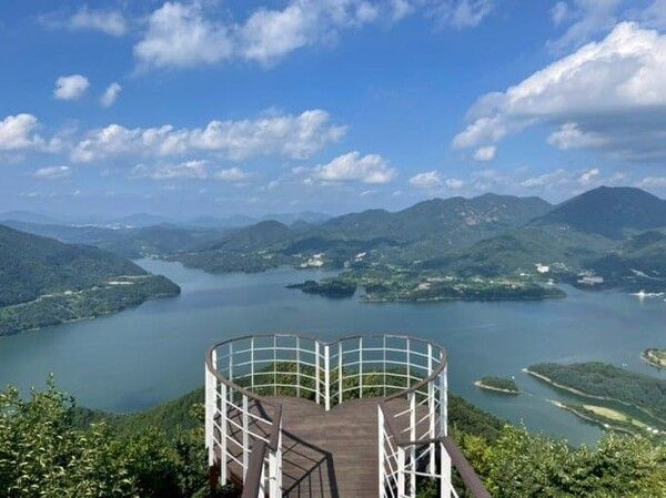 온라인 커뮤니티