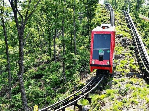 온라인 커뮤니티