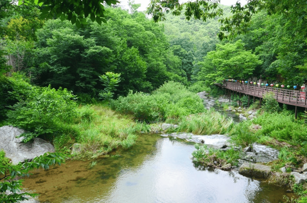 온라인 커뮤니티