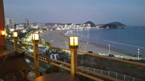 온라인 커뮤니티