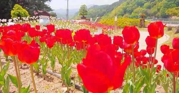 온라인 커뮤니티