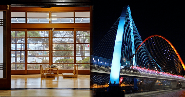 온라인 커뮤니티 / 트리플