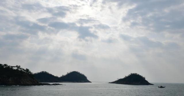 온라인 커뮤니티