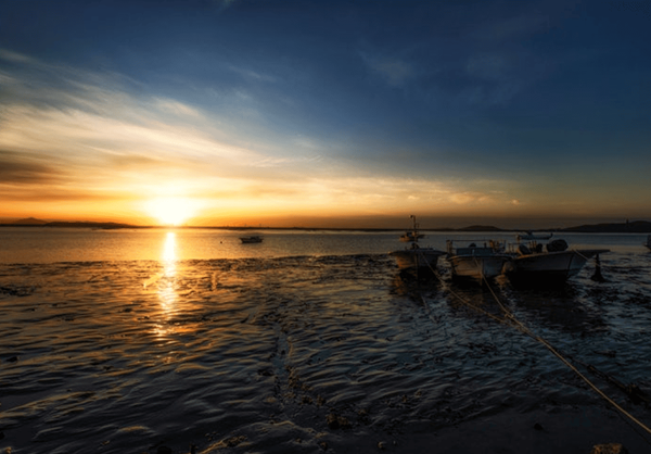 온라인 커뮤니티