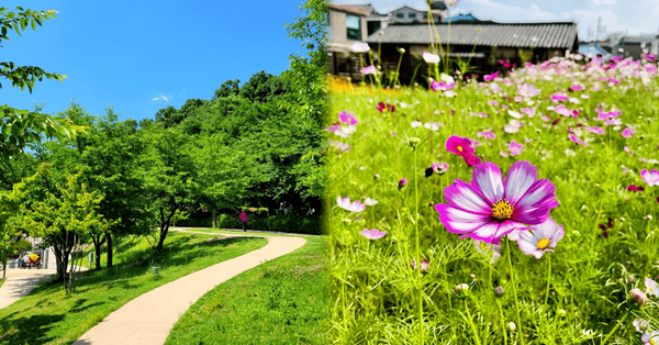 온라인 커뮤니티 / 트리플