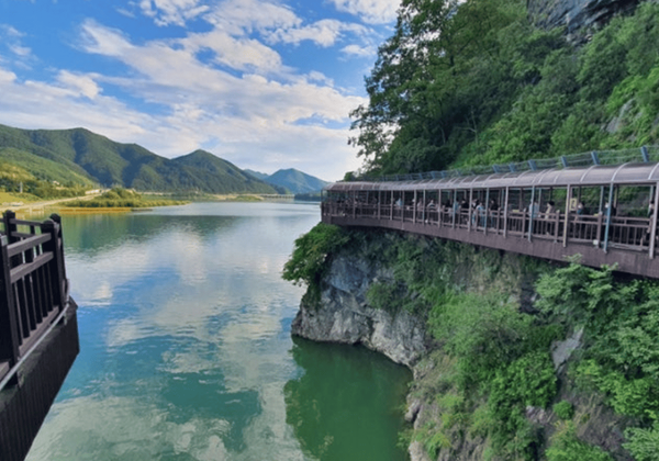 온라인 커뮤니티