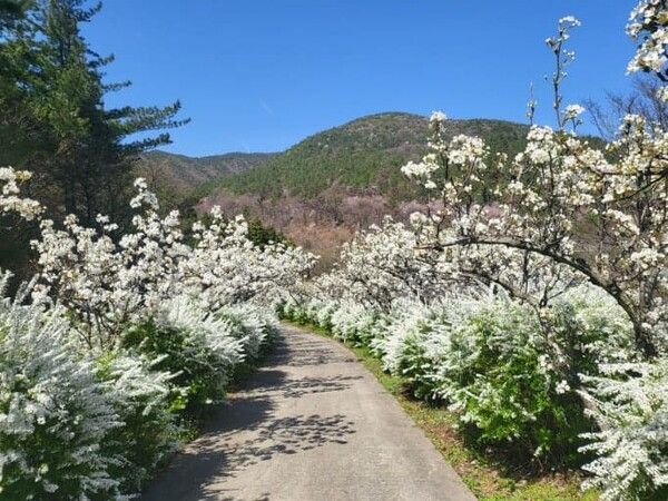 온라인 커뮤니티