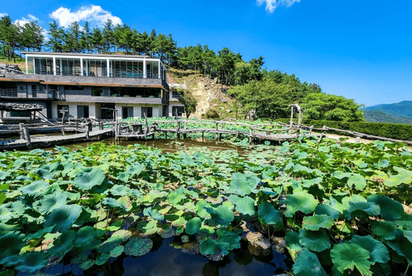 온라인 커뮤니티