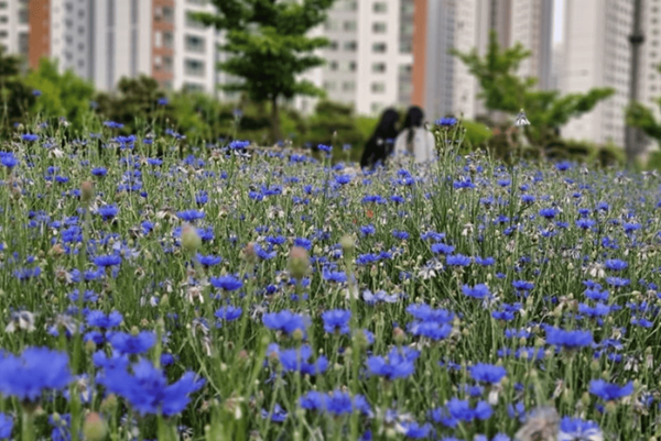 온라인 커뮤니티