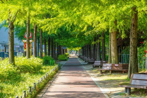 온라인 커뮤니티