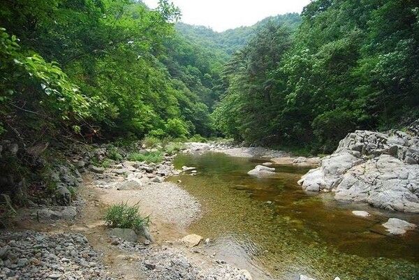 온라인 커뮤니티