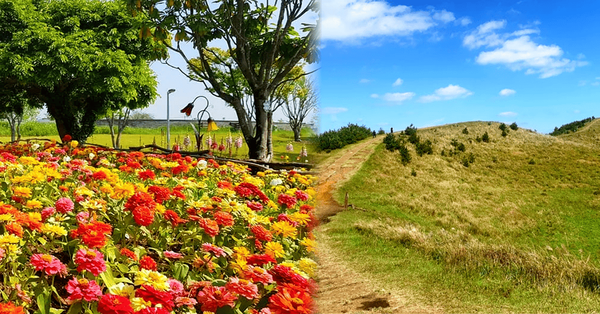 트리플 / 온라인 커뮤니티