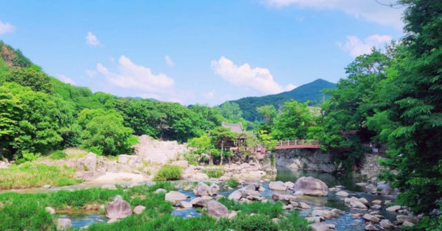 온라인 커뮤니티