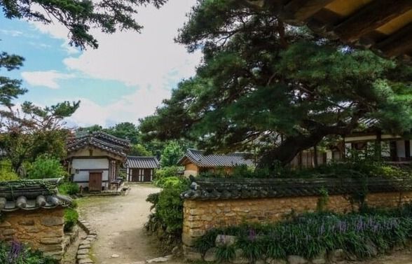 온라인 커뮤니티