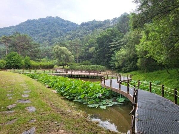 온라인 커뮤니티