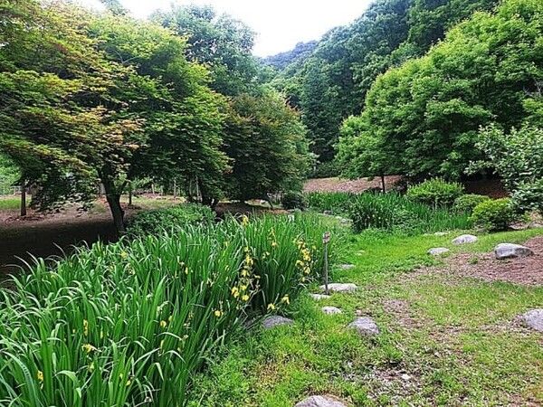 온라인 커뮤니티