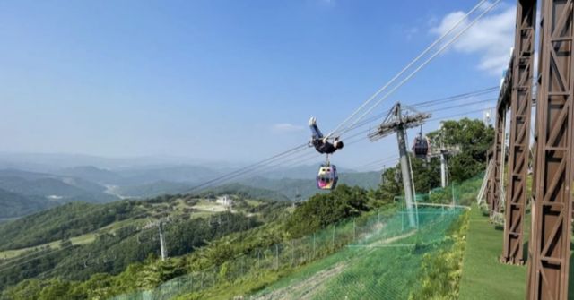 온라인 커뮤니티