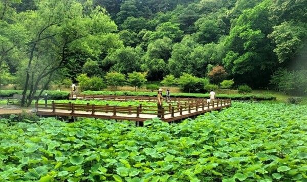 온라인 커뮤니티