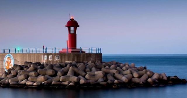 온라인 커뮤니티