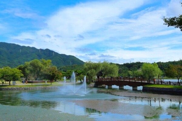 온라인 커뮤니티