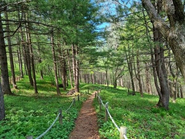 온라인 커뮤니티