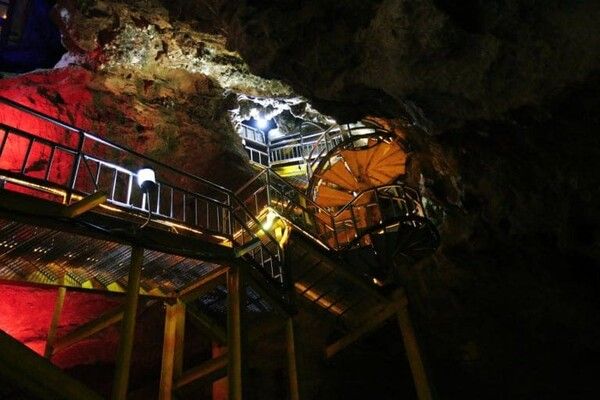 온라인 커뮤니티