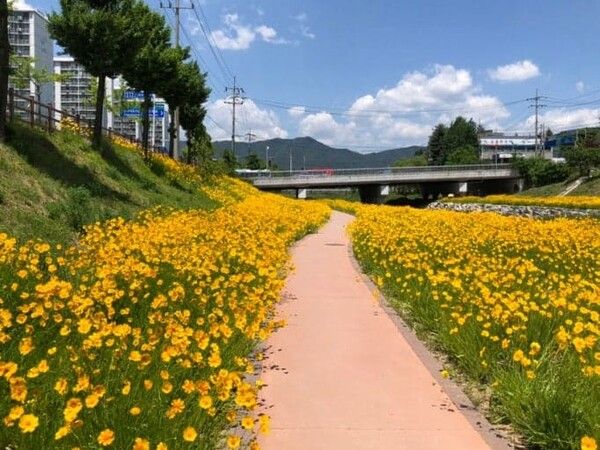 온라인 커뮤니티