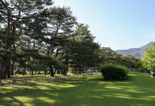 온라인 커뮤니티