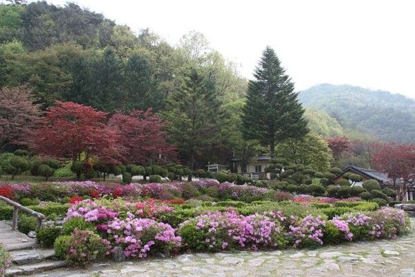 온라인 커뮤니티