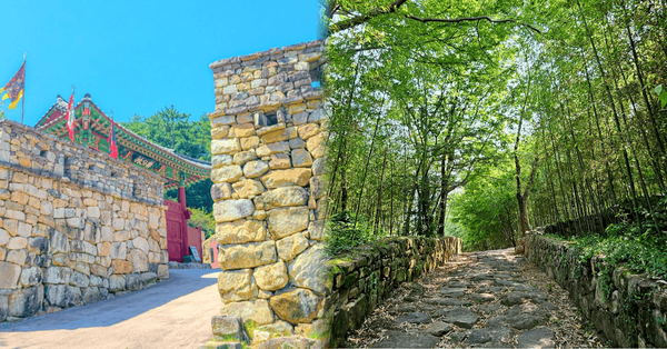 온라인 커뮤니티