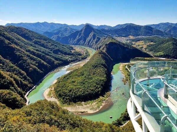 온라인 커뮤니티