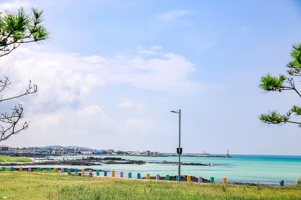 온라인 커뮤니티