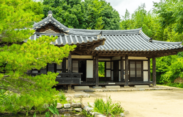 온라인 커뮤니티