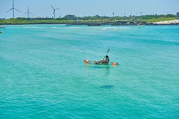 온라인 커뮤니티