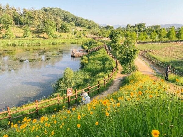 온라인 커뮤니티