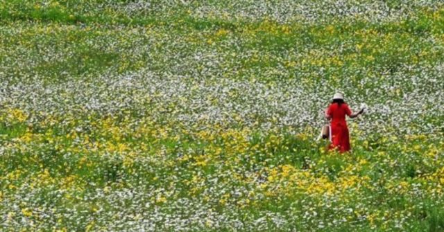 온라인 커뮤니티