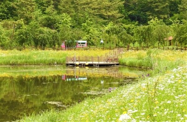 온라인 커뮤니티