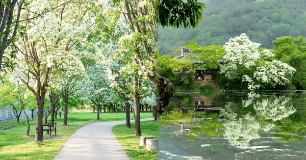 온라인 커뮤니티