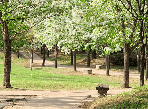 온라인 커뮤니티