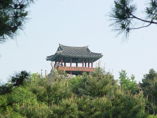 온라인 커뮤니티