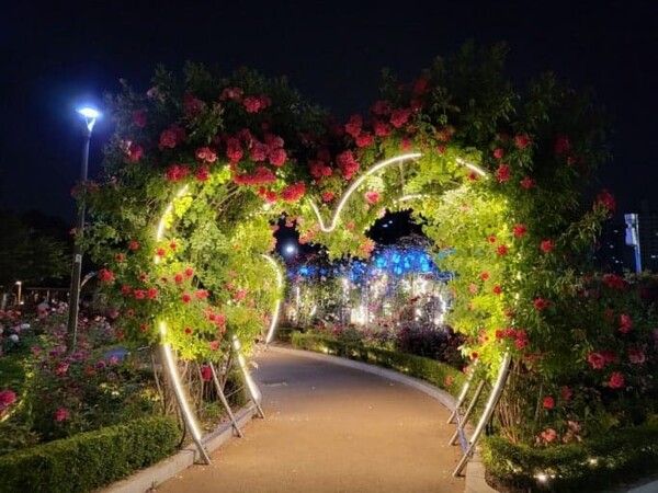 온라인 커뮤니티