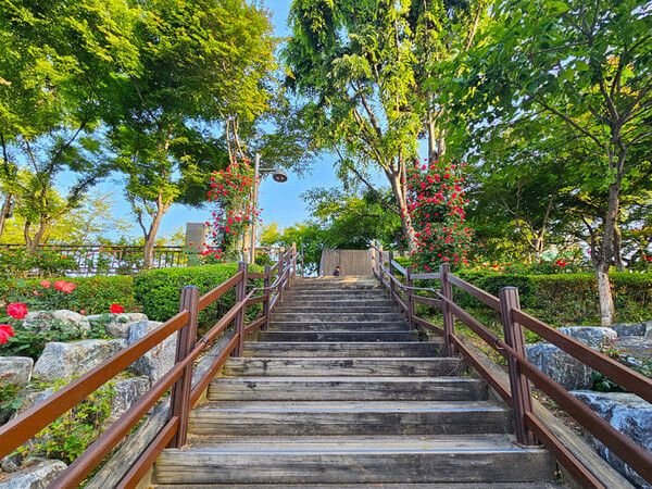 온라인 커뮤니티