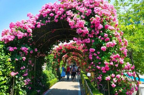 온라인 커뮤니티