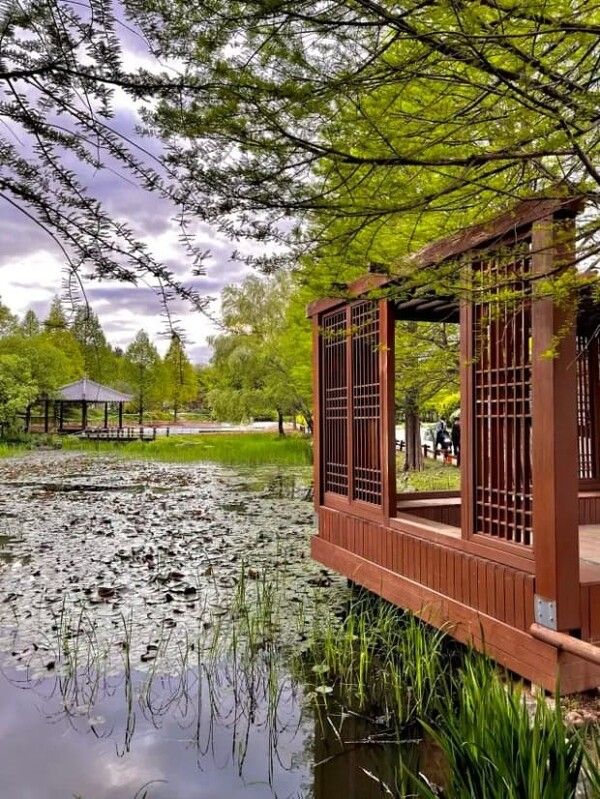 온라인 커뮤니티