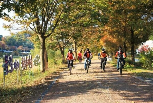 온라인 커뮤니티